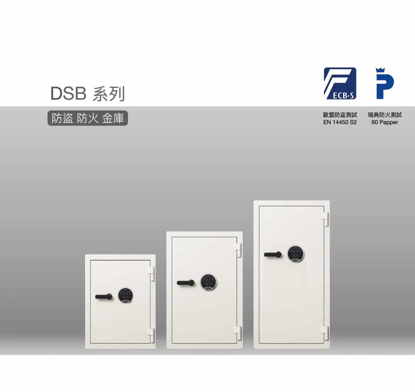 DSB 系列