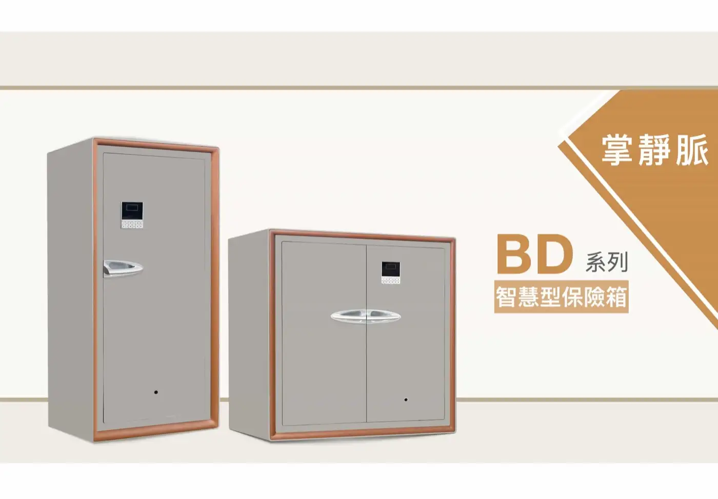 BD 系列