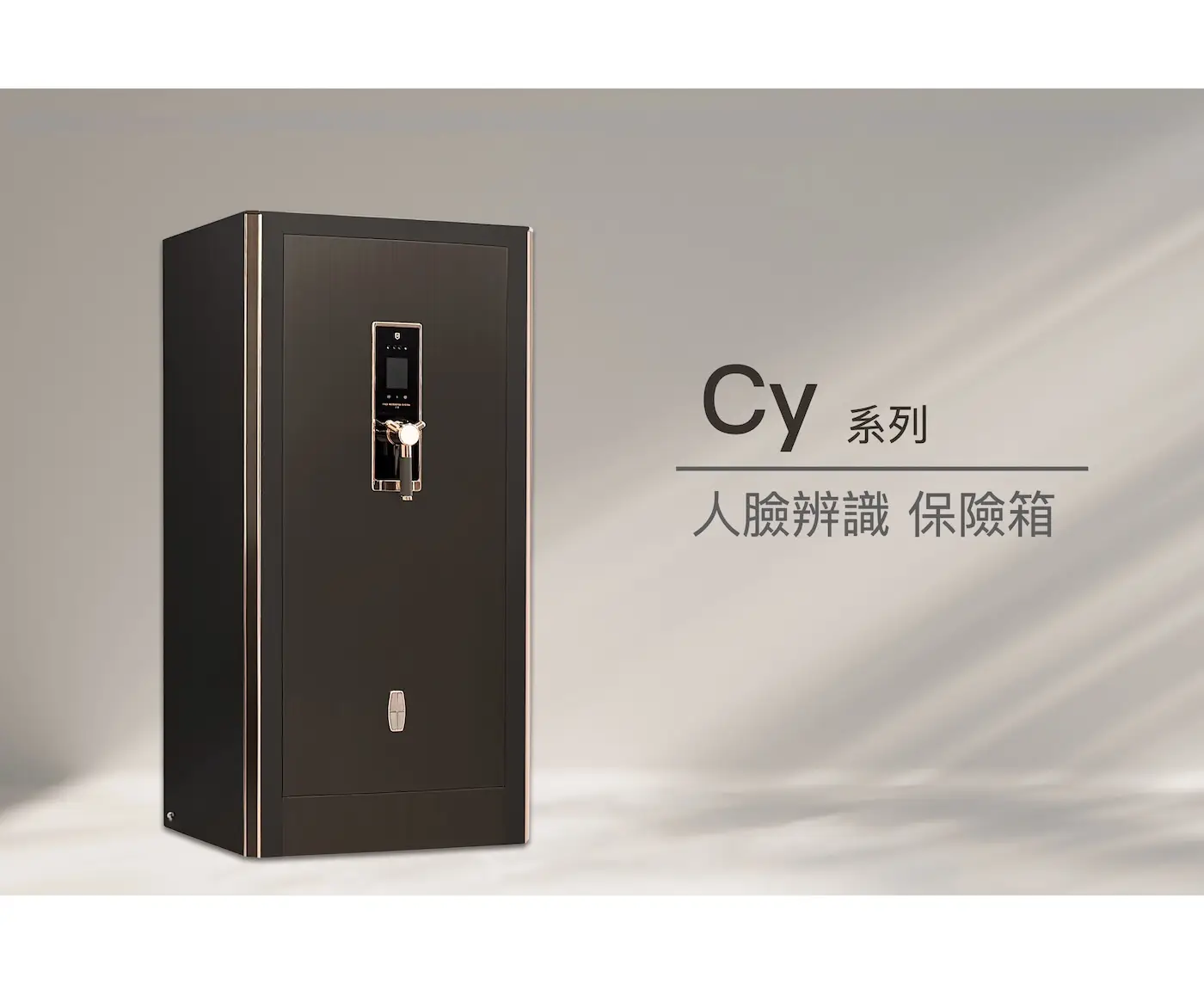 Cy 系列 防盜保險箱 介紹圖 7