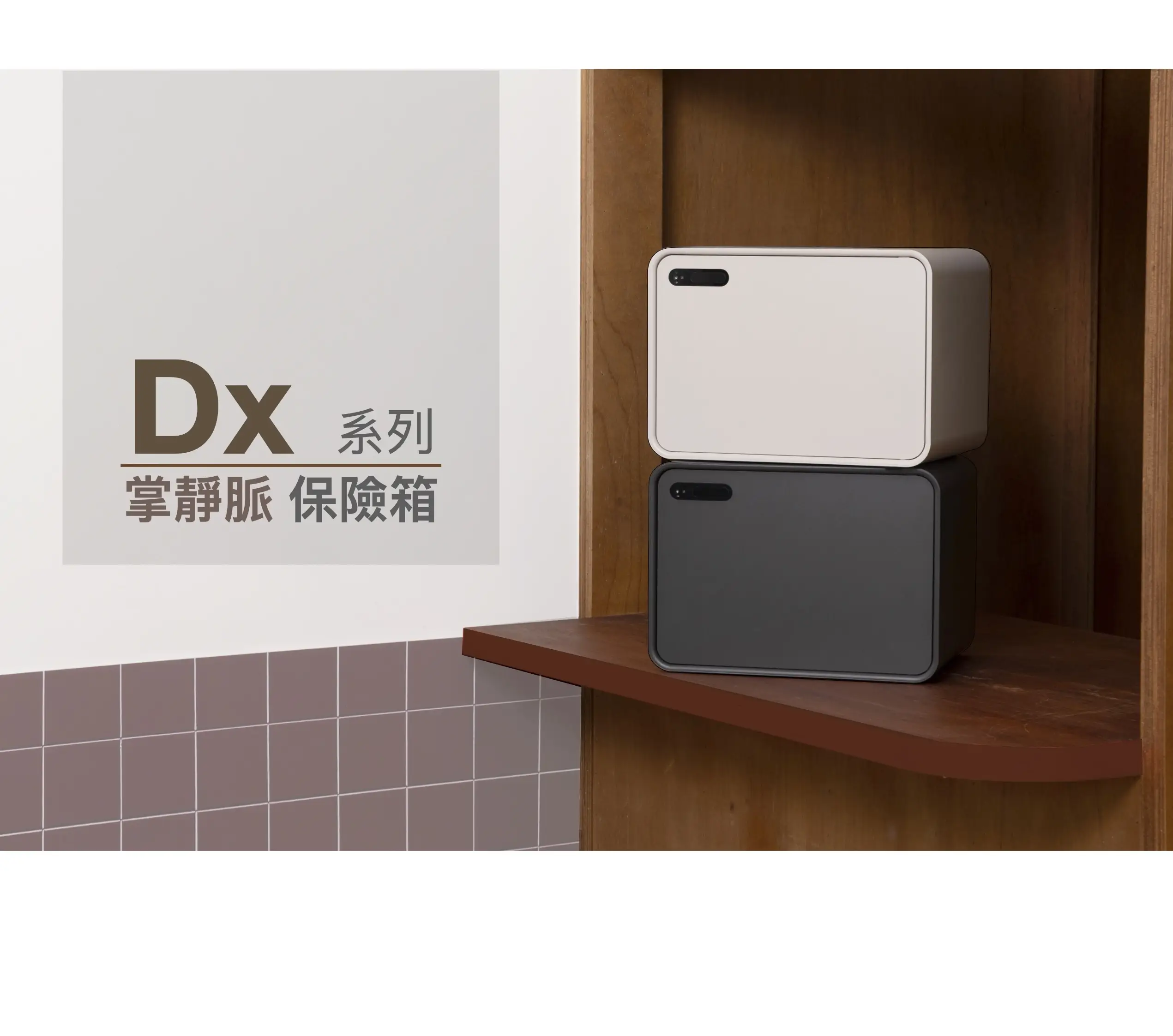 Dx 系列 掌靜脈保險箱
