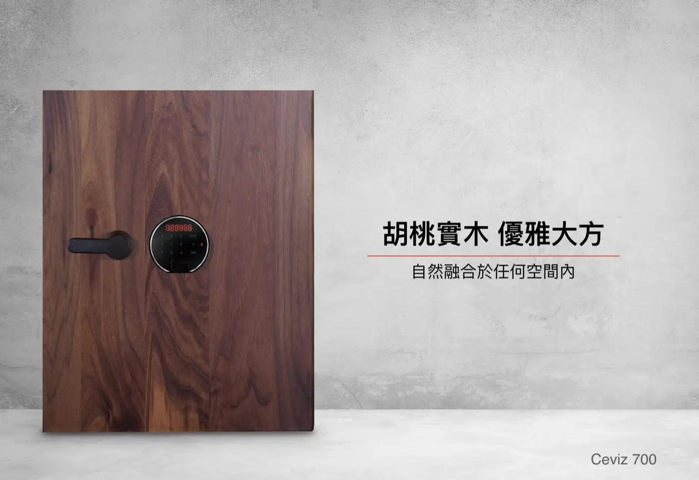 CEVIZ 隱藏式金庫 家庭家用小金庫 小型保險櫃 安全性 隱藏式保險櫃 介紹圖 11