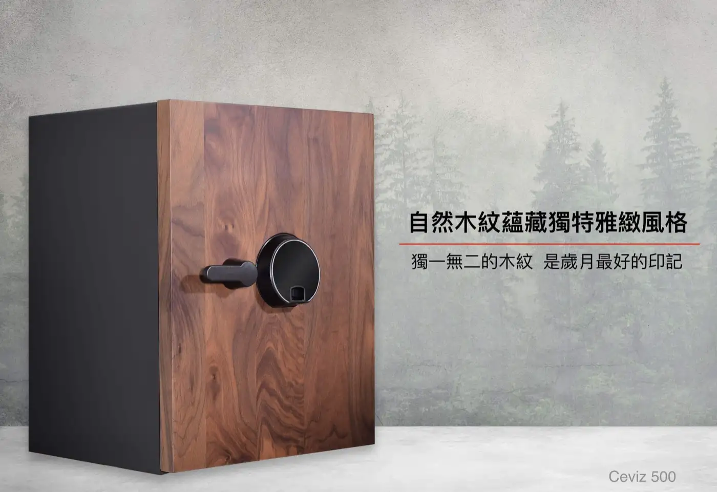 CEVIZ 隱藏式金庫 家庭家用小金庫 小型保險櫃 安全性 隱藏式保險櫃 介紹圖 22