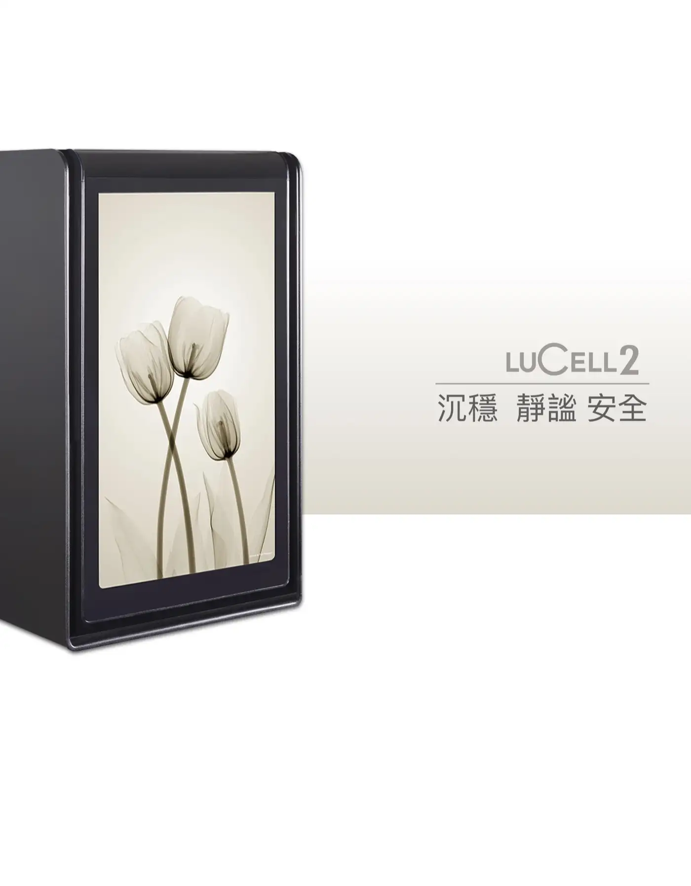 LuCell鬱金香