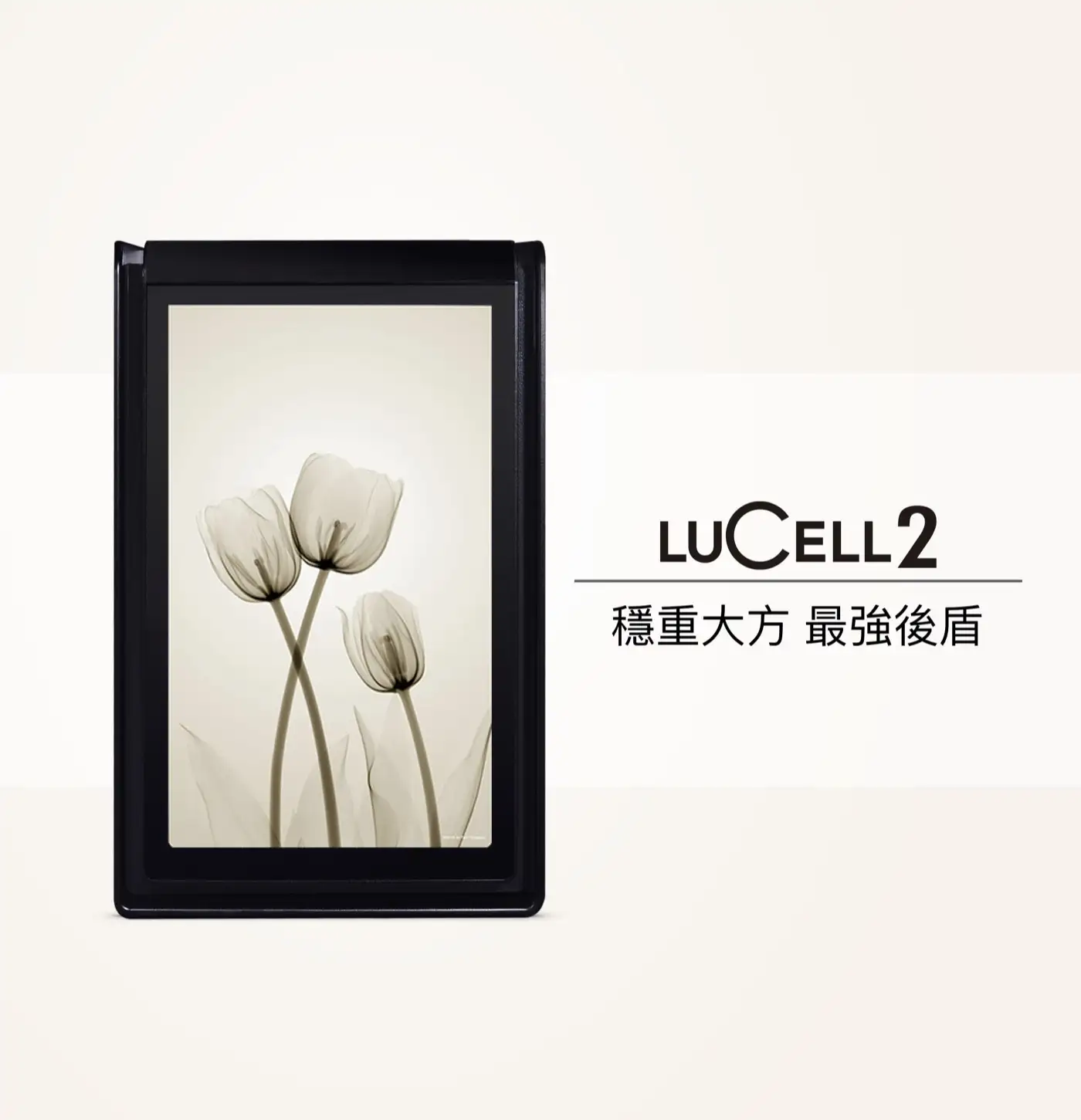 LUCELL TULIP 系列 防盜防火保險箱 介紹圖 38