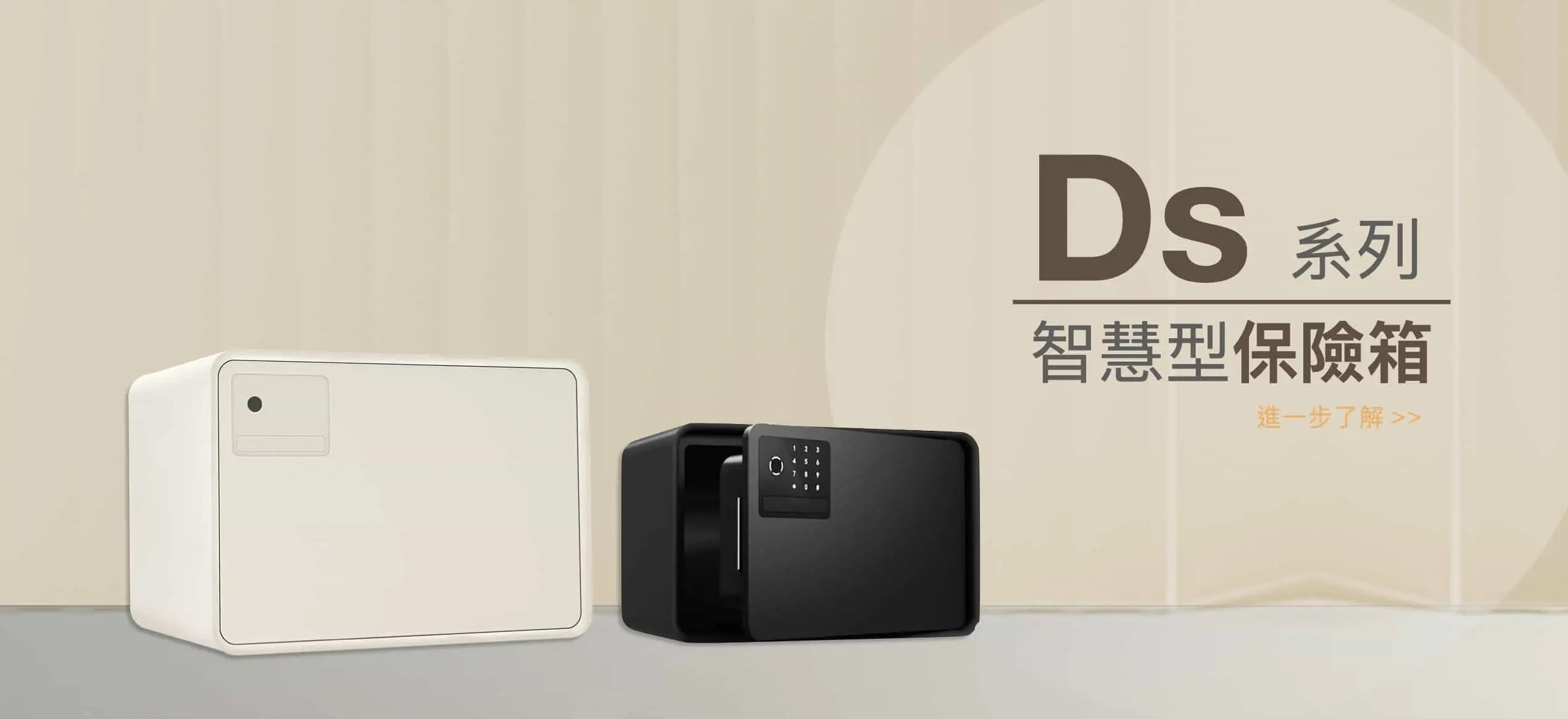 ds 智慧型保險箱 Banner 圖片