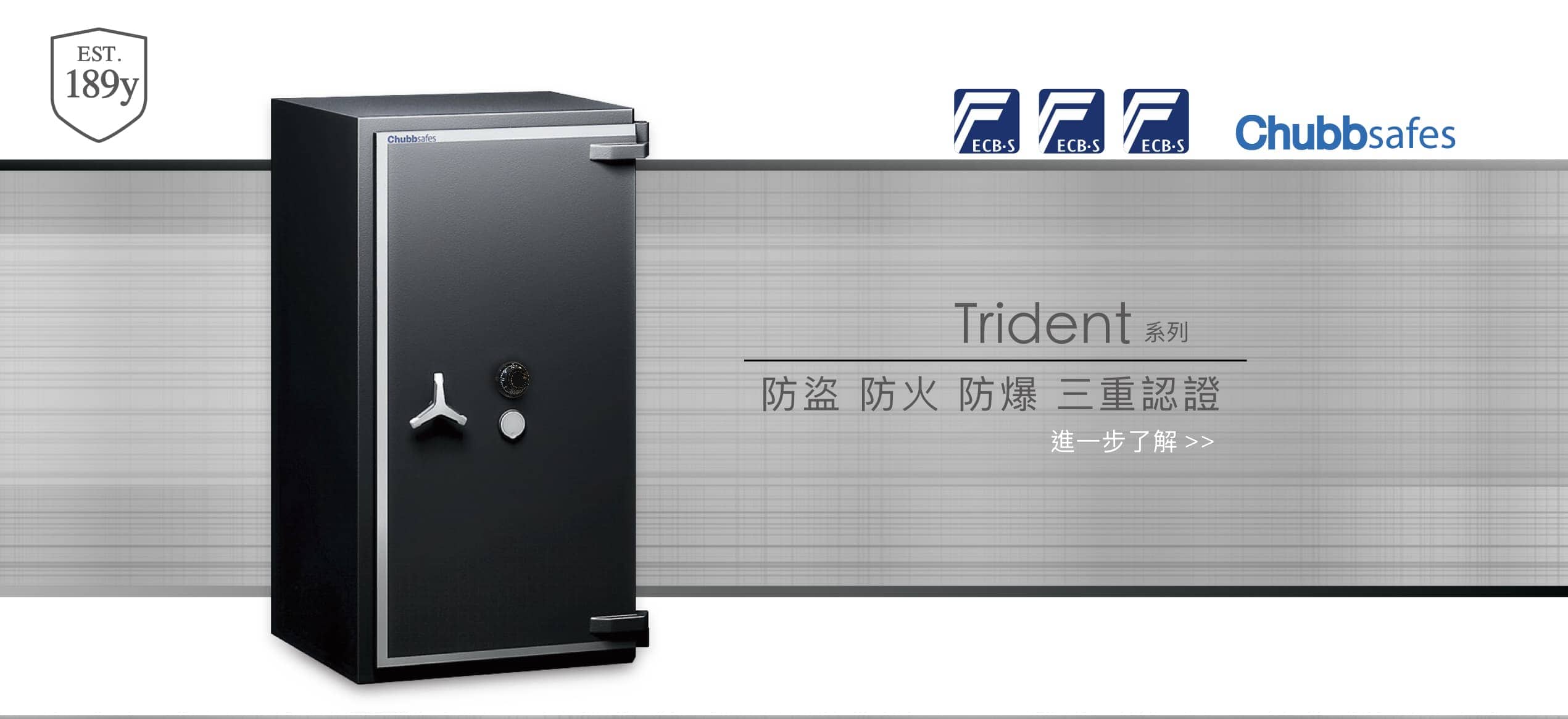 銀行 銀樓 珠寶 金庫 專用保險箱推薦 Chubb safe Trident 系列